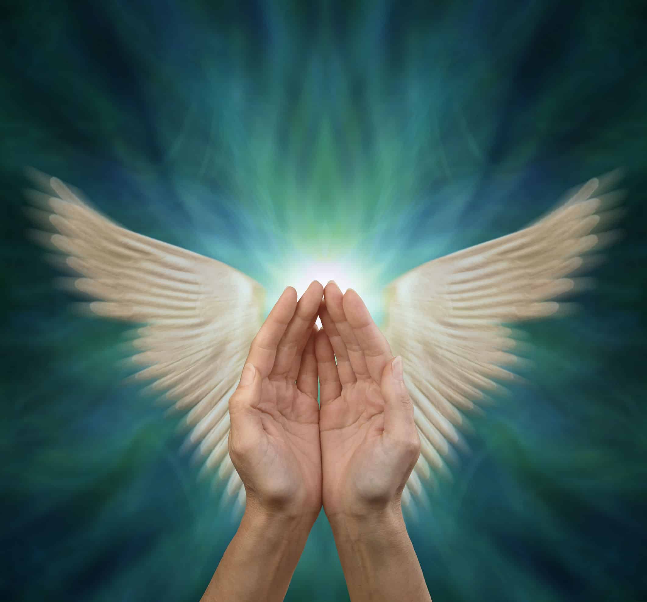 Is Your Heart in Your Hands? Put Your Heart in Raphael and Mary's  Hands!!