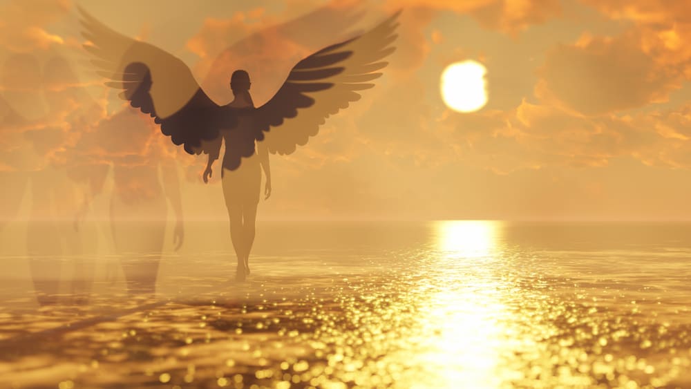 Golden Light Radiance: Getting Golden in 2023