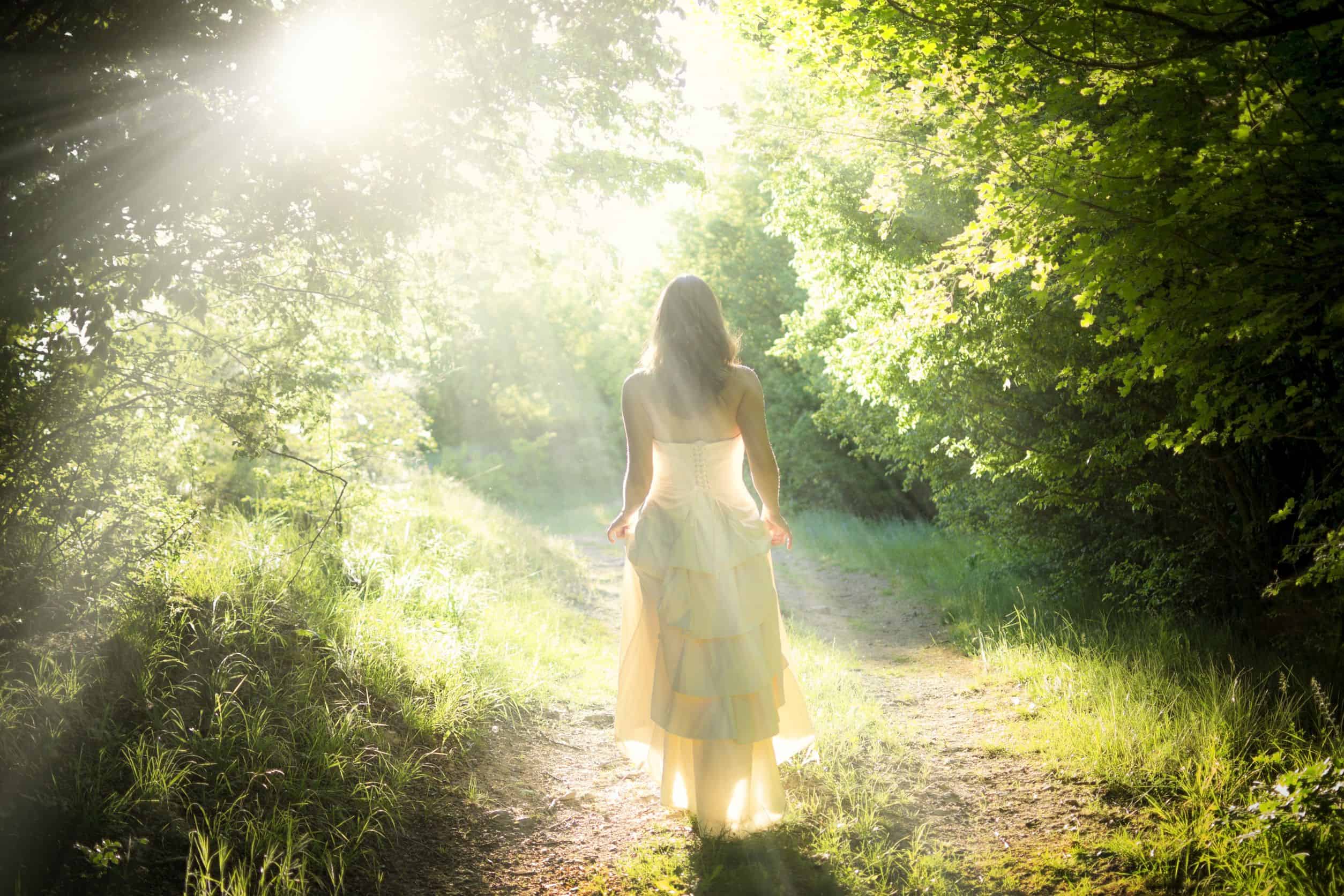 Relieve Anxiety with the Elemental, Fairy, and Dragon Realms